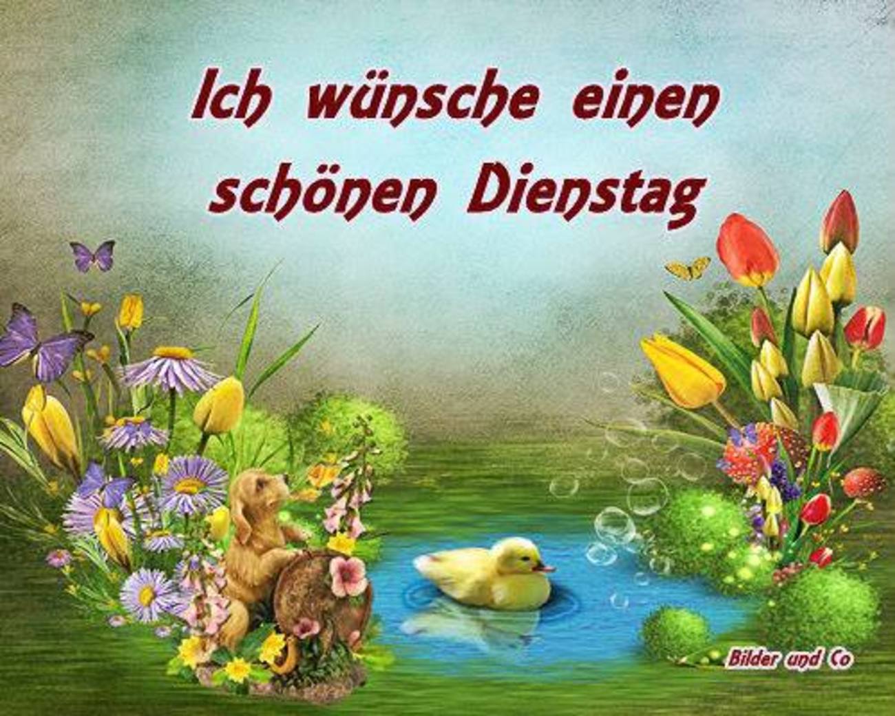 Schönen Dienstag sprüche 166