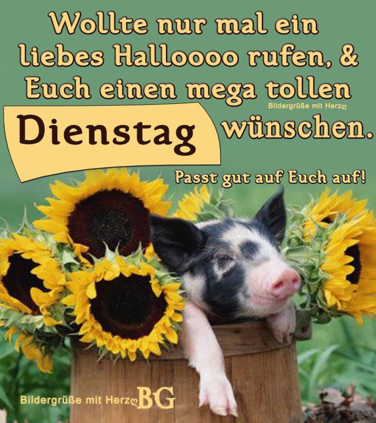 Schönen Dienstag sprüche 167