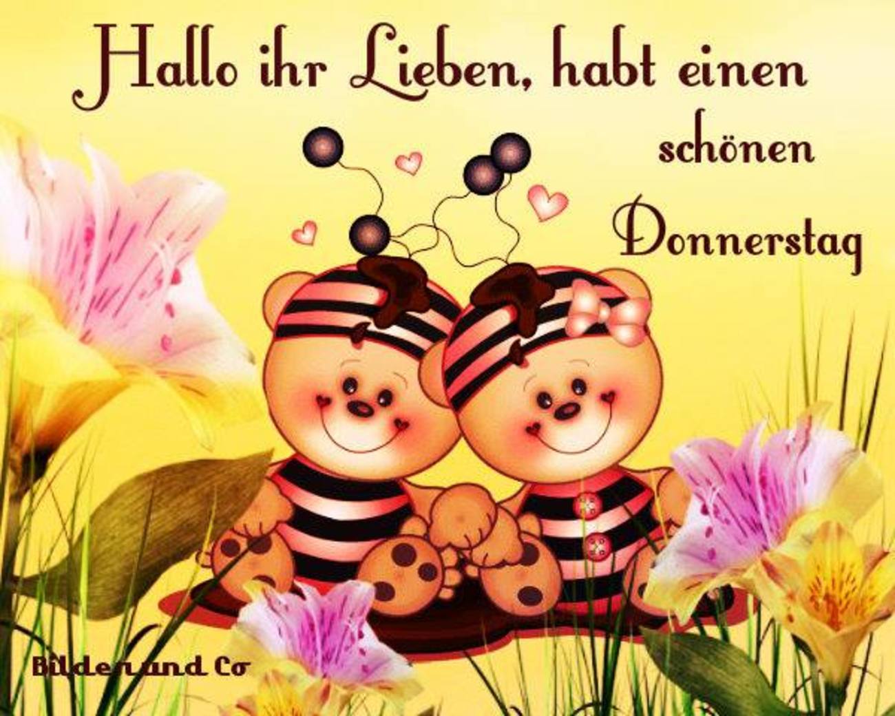 Schönen Donnerstag
