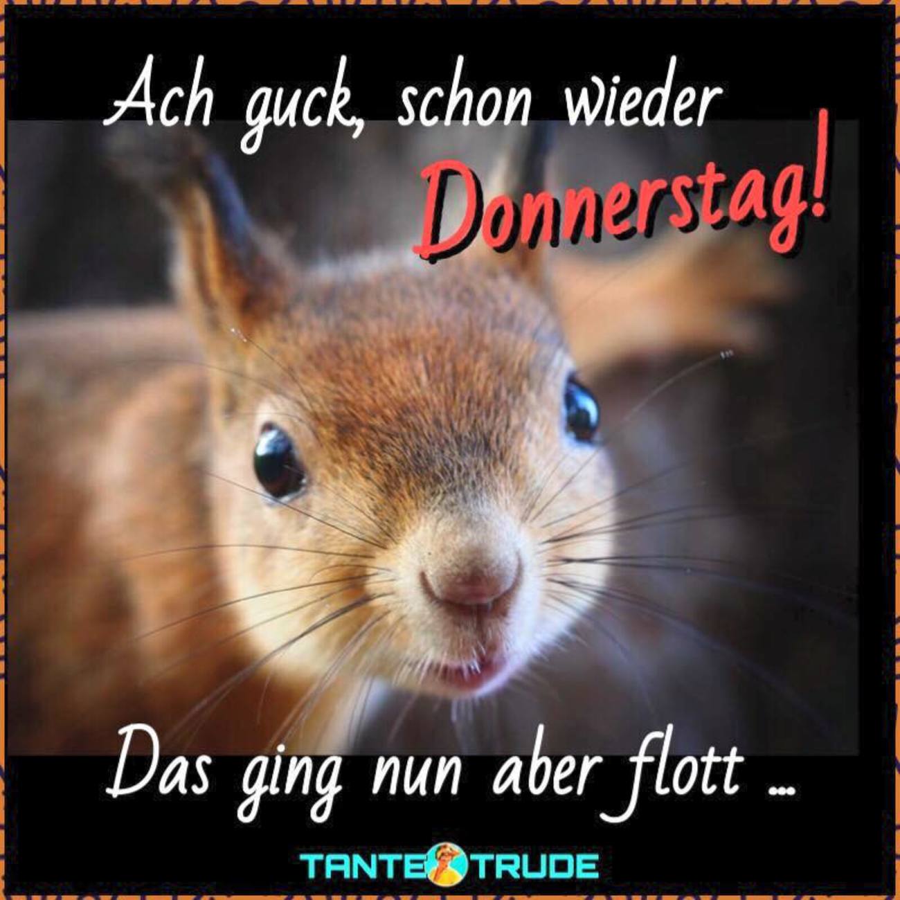 schönen donnerstag bilder sprüche Archives Seite 4 von 4