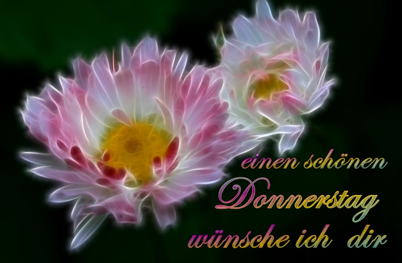 Schönen Donnerstag Pinterest 244