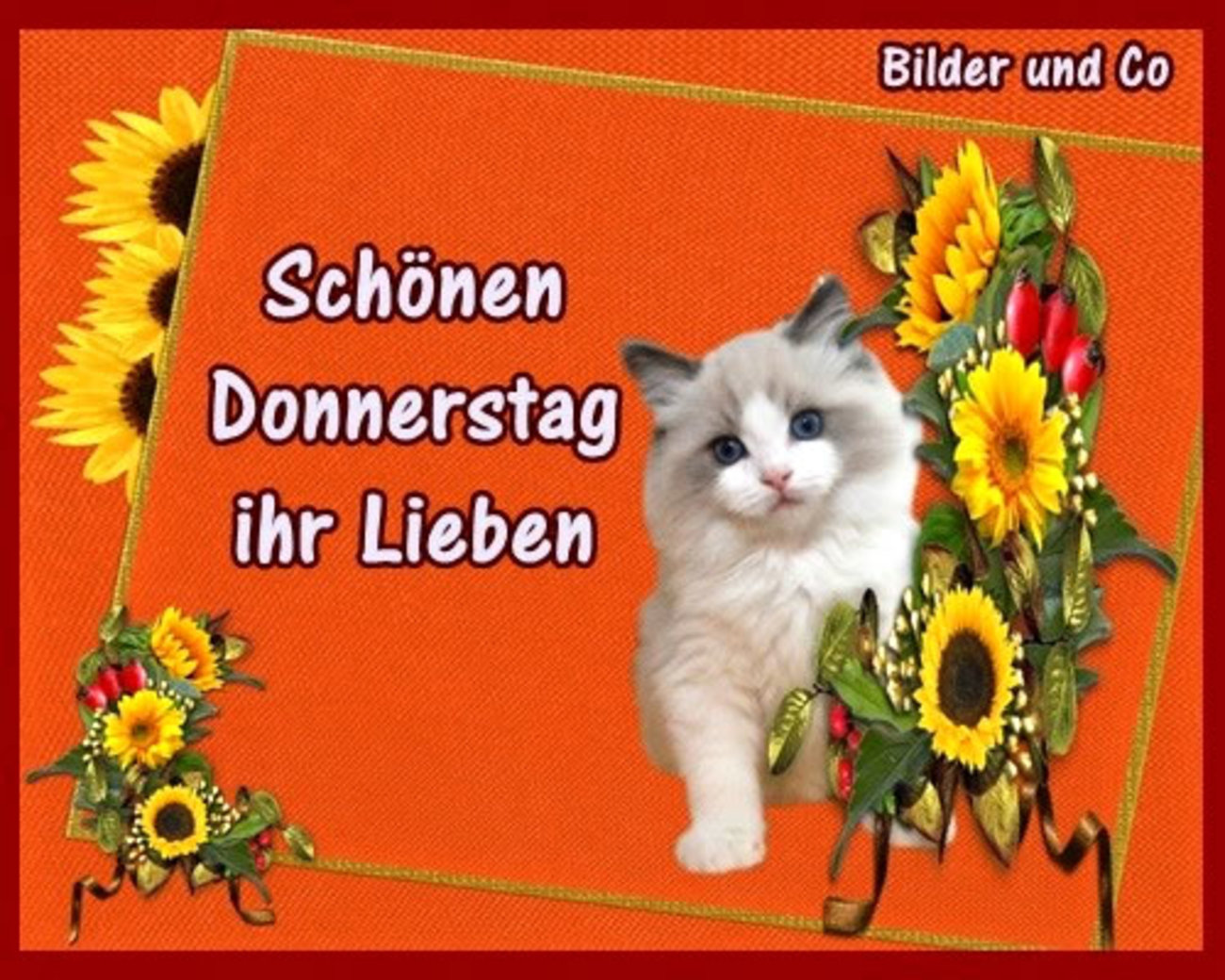 Schönen Donnerstag Pinterest 245