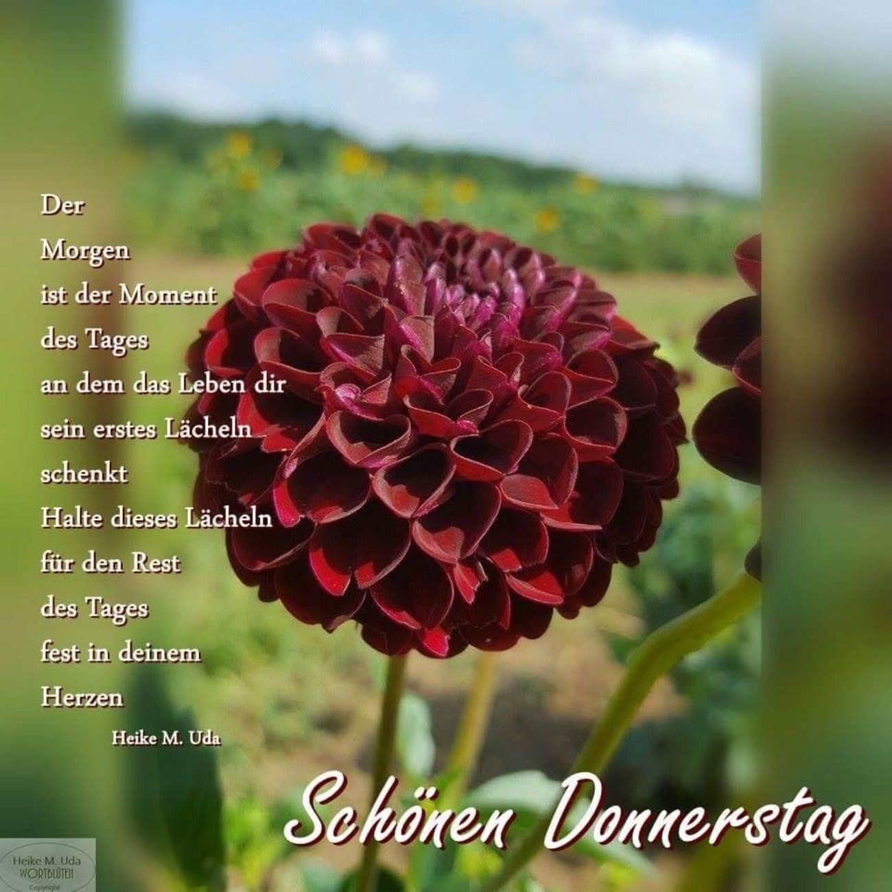 Schönen Donnerstag Sprüche 206