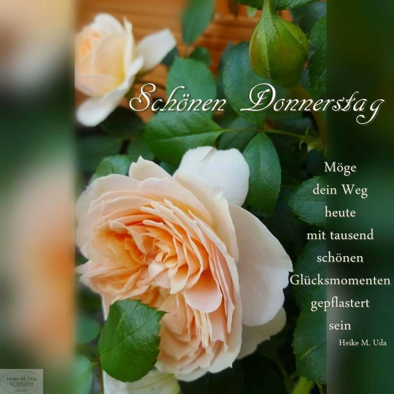 Donnerstag Abend Grüße Bilder Kostenlos zoilpeffiy