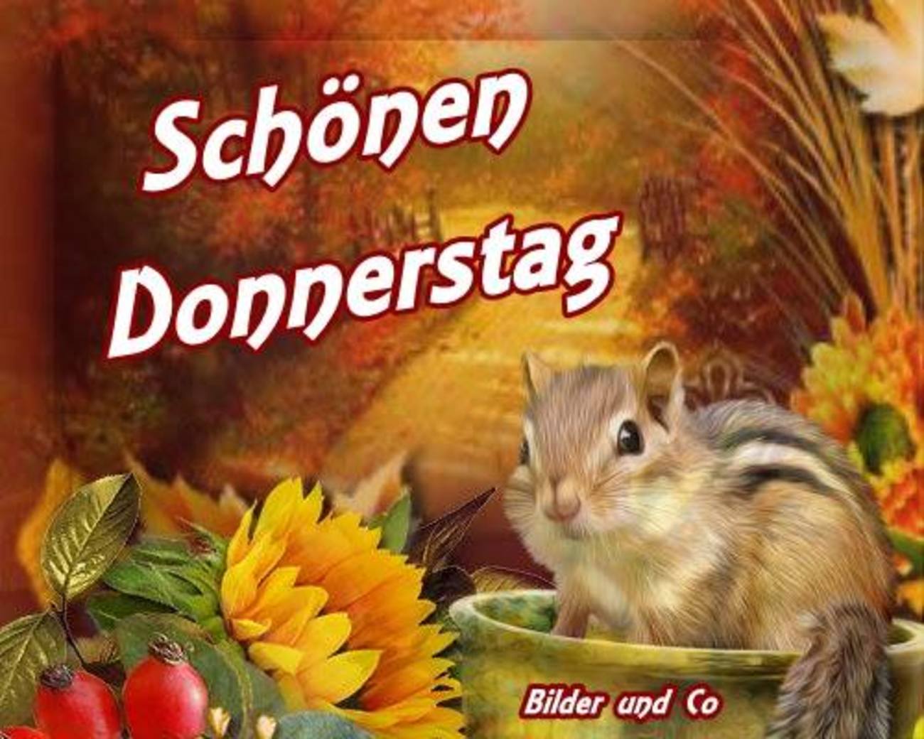 Schönen Donnerstag bilder 150