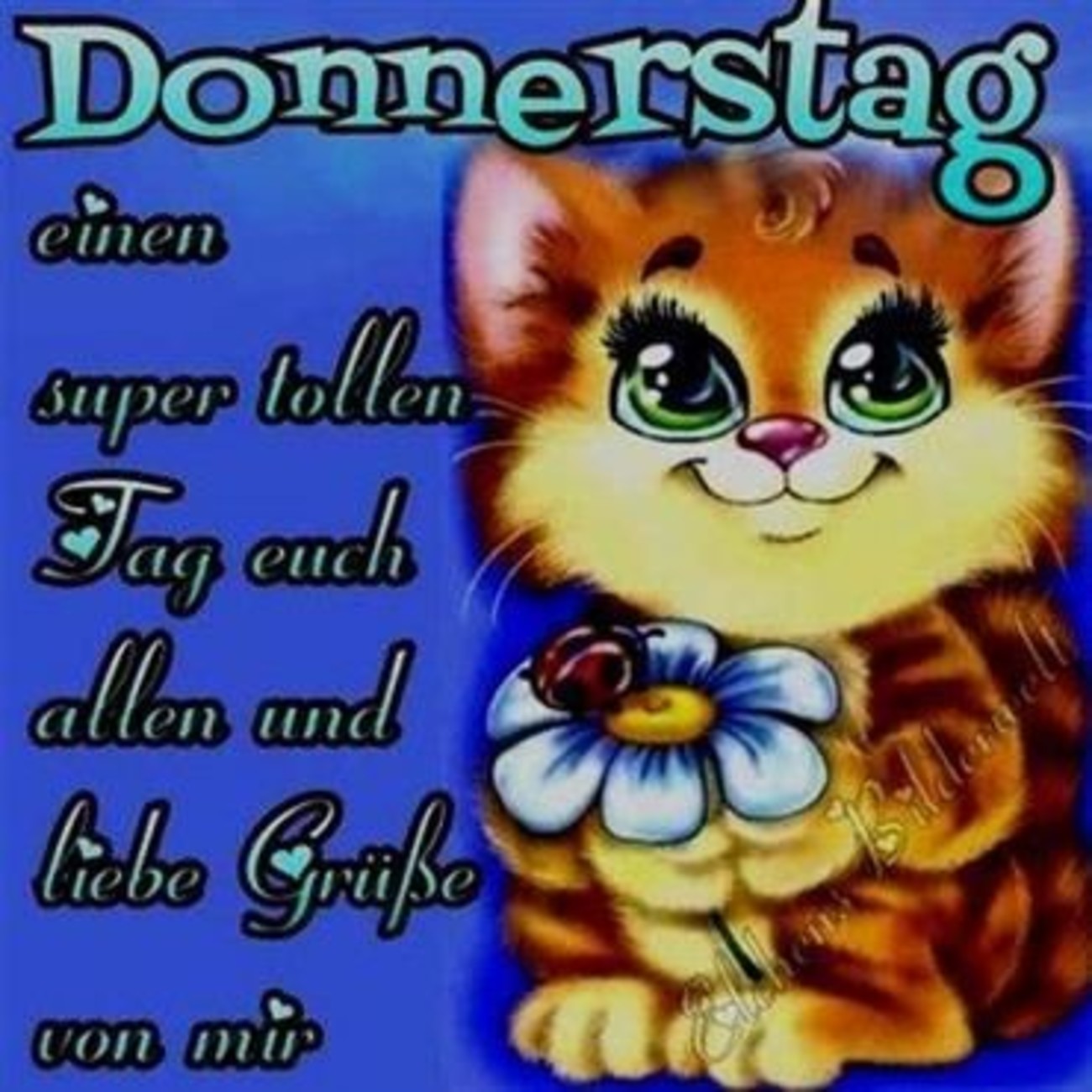 Schönen Donnerstag bilder kostenlos downloaden 92