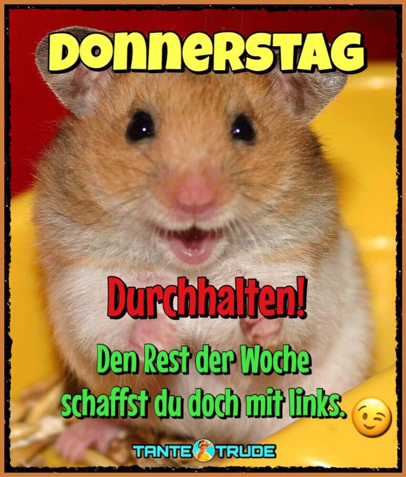Schönen Donnerstag bilder kostenlos downloaden 97