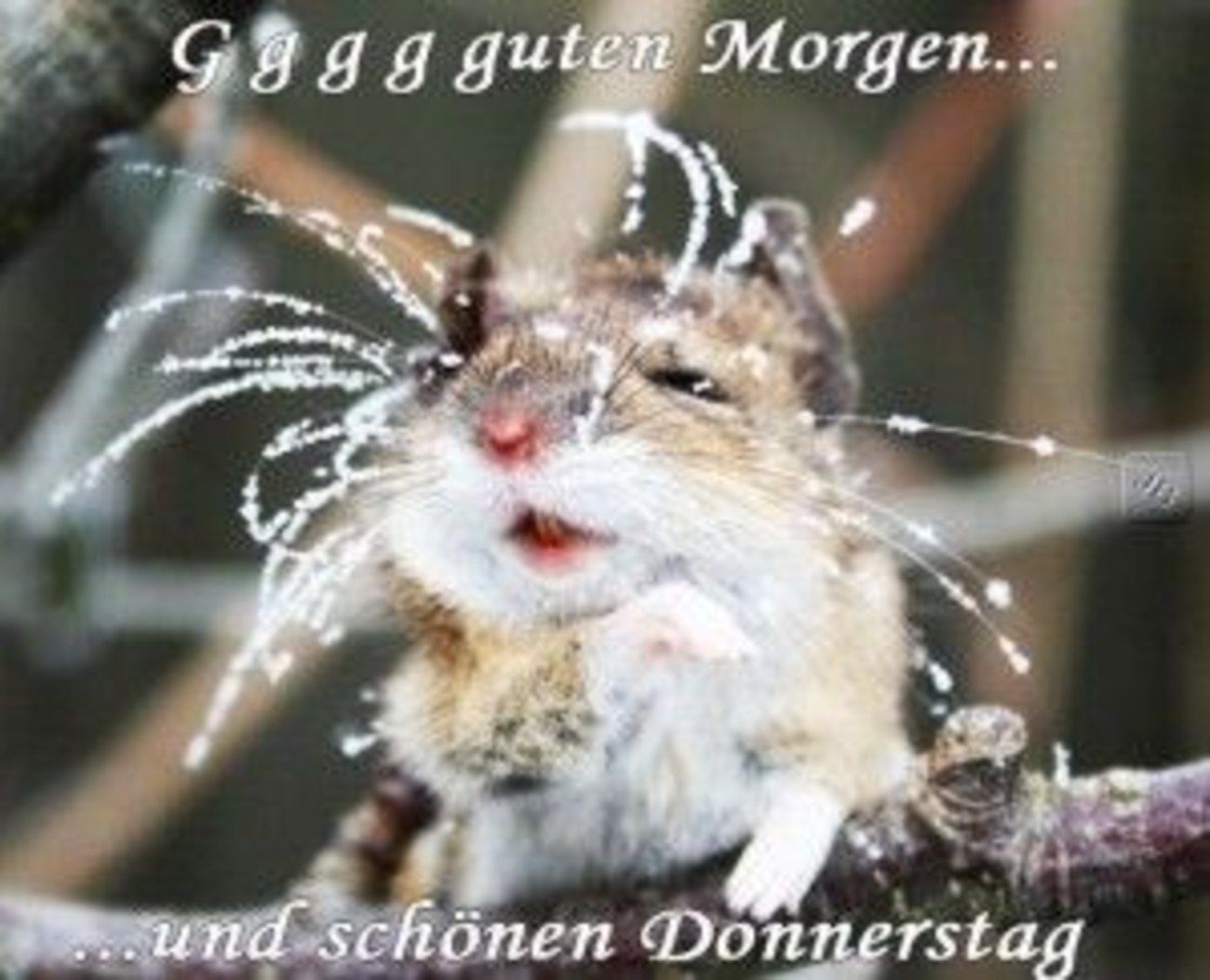 Schönen Donnerstag bilder sprüche 80