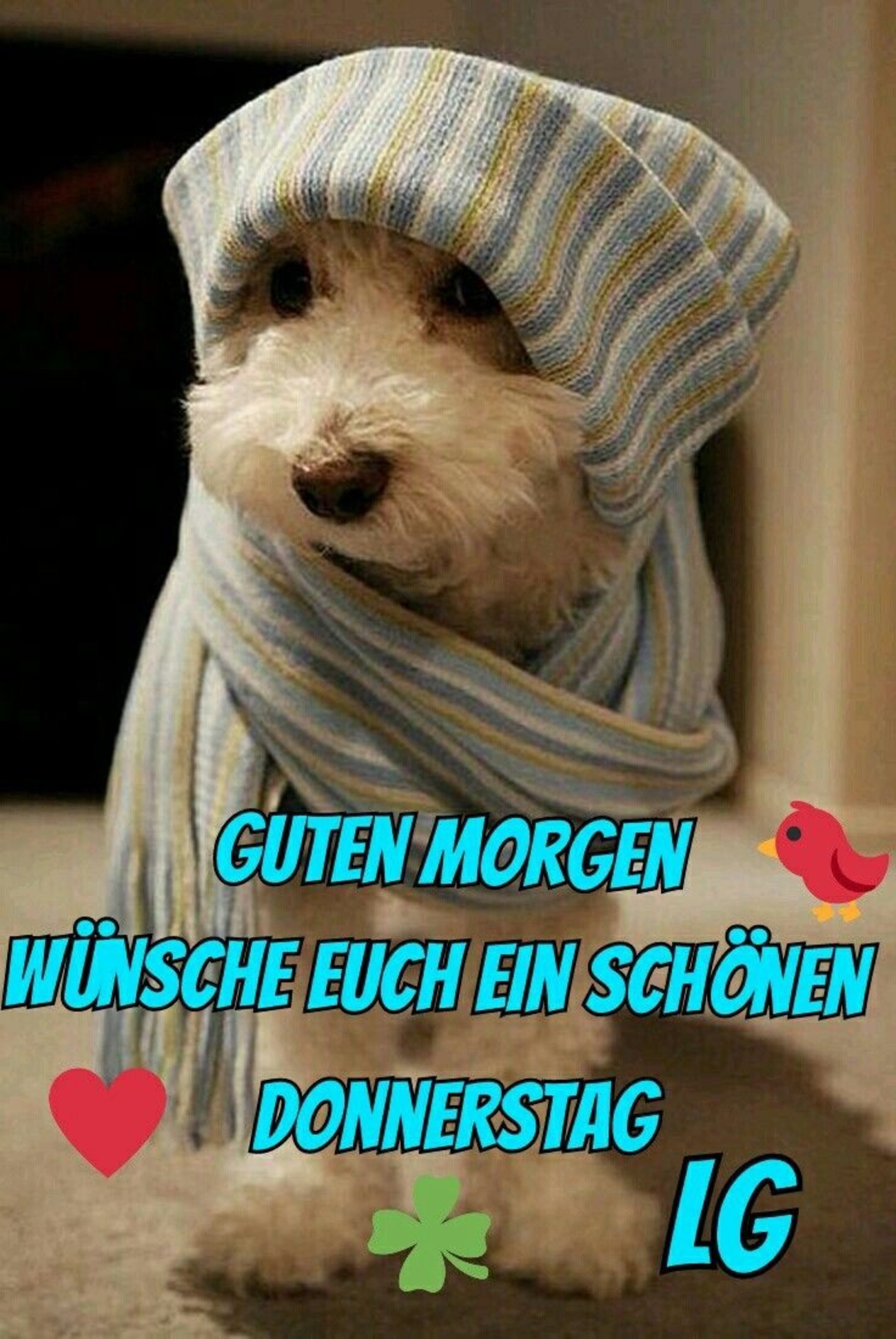 Schönen Donnerstag es ist kalt 100