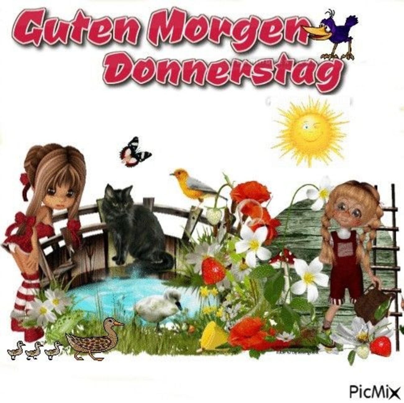 Schönen Donnerstag euch allen 68