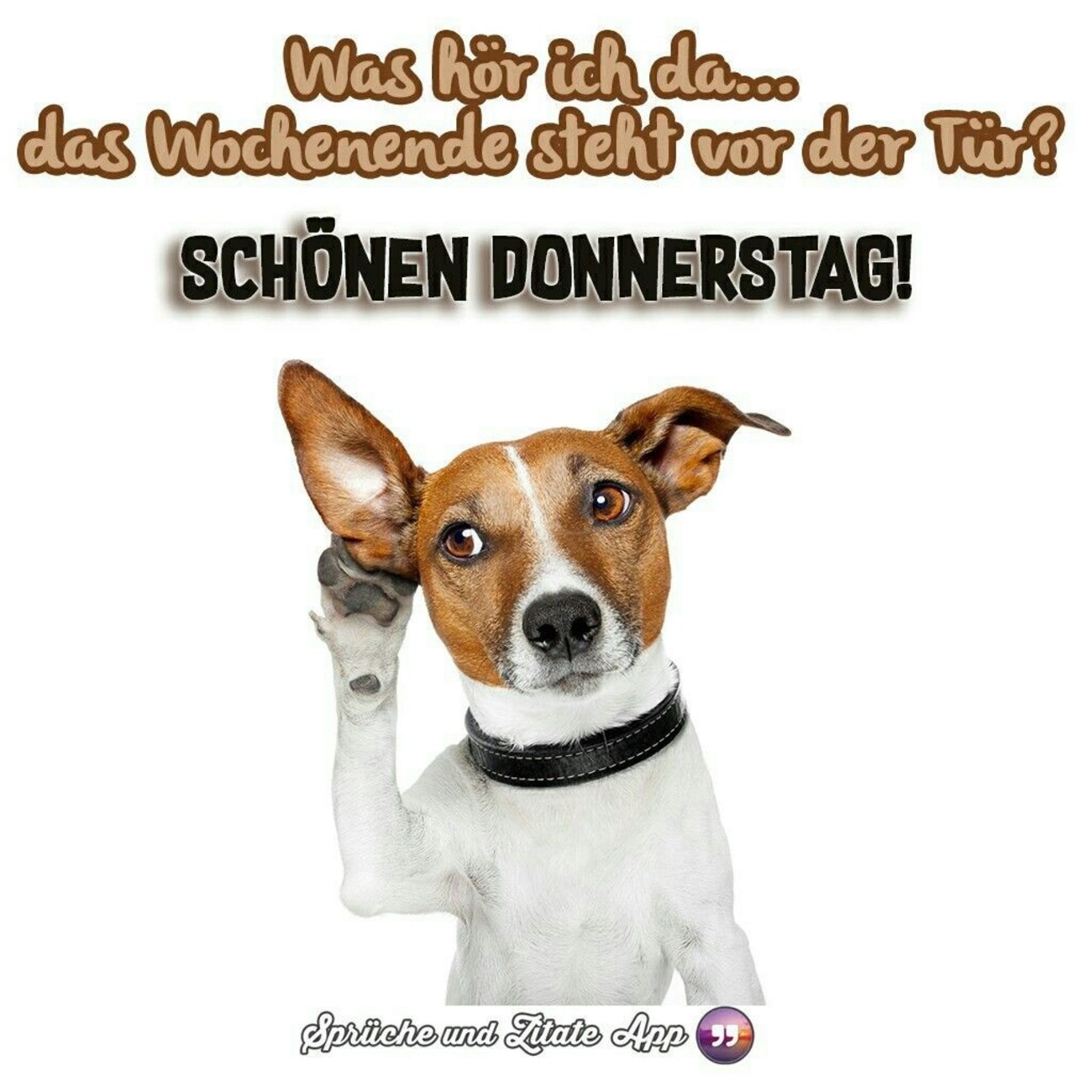 Schönen Donnerstag hund 177