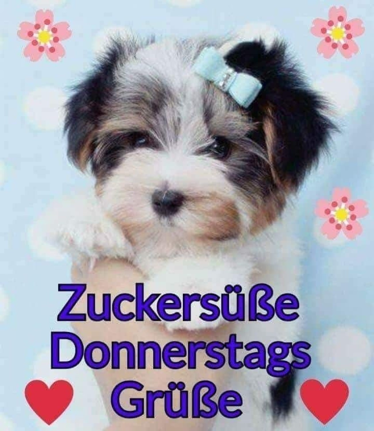 Schönen Donnerstag hund 25