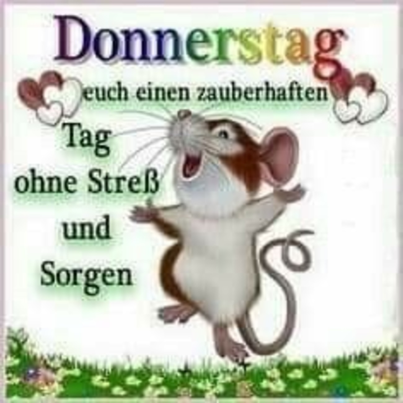 Schönen Donnerstag morgen 251