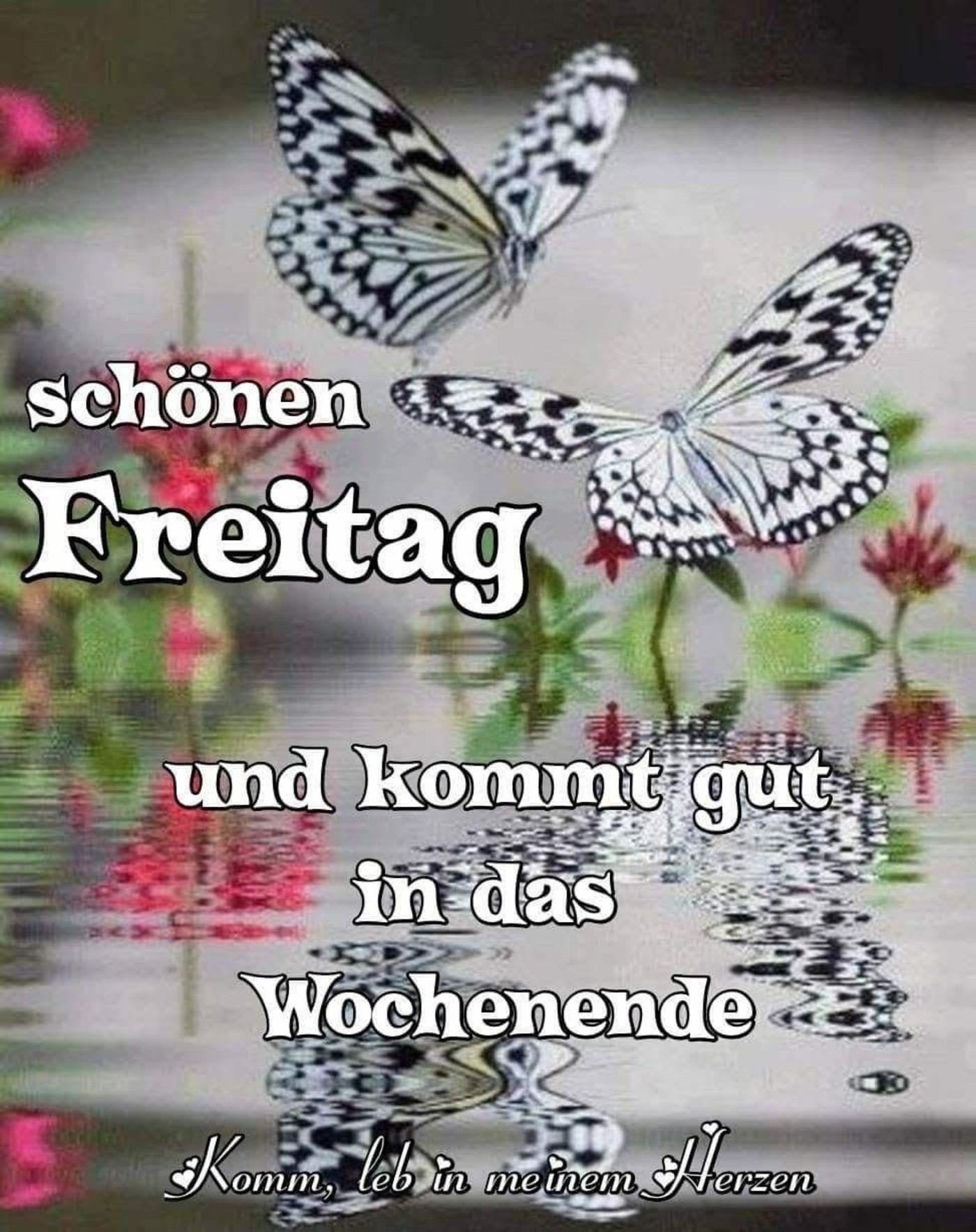 Schönen Freitag 119