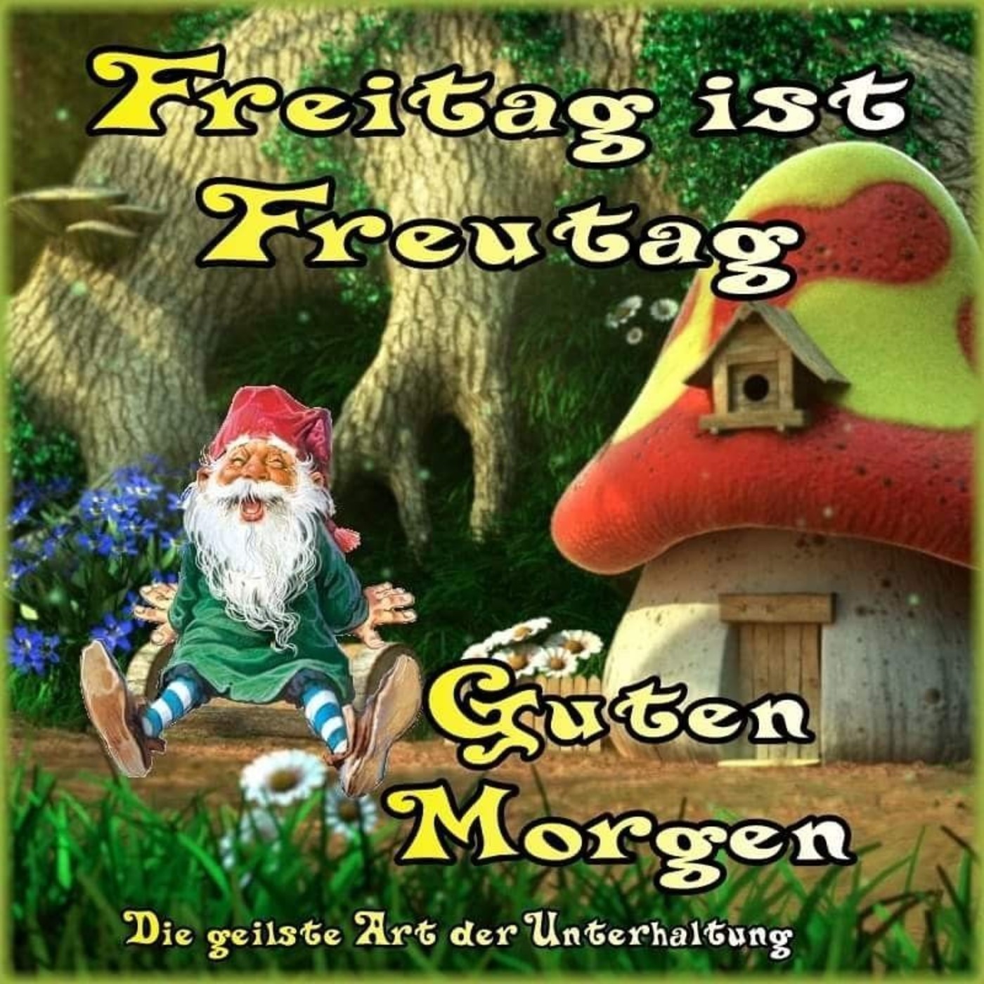 Schönen Freitag
