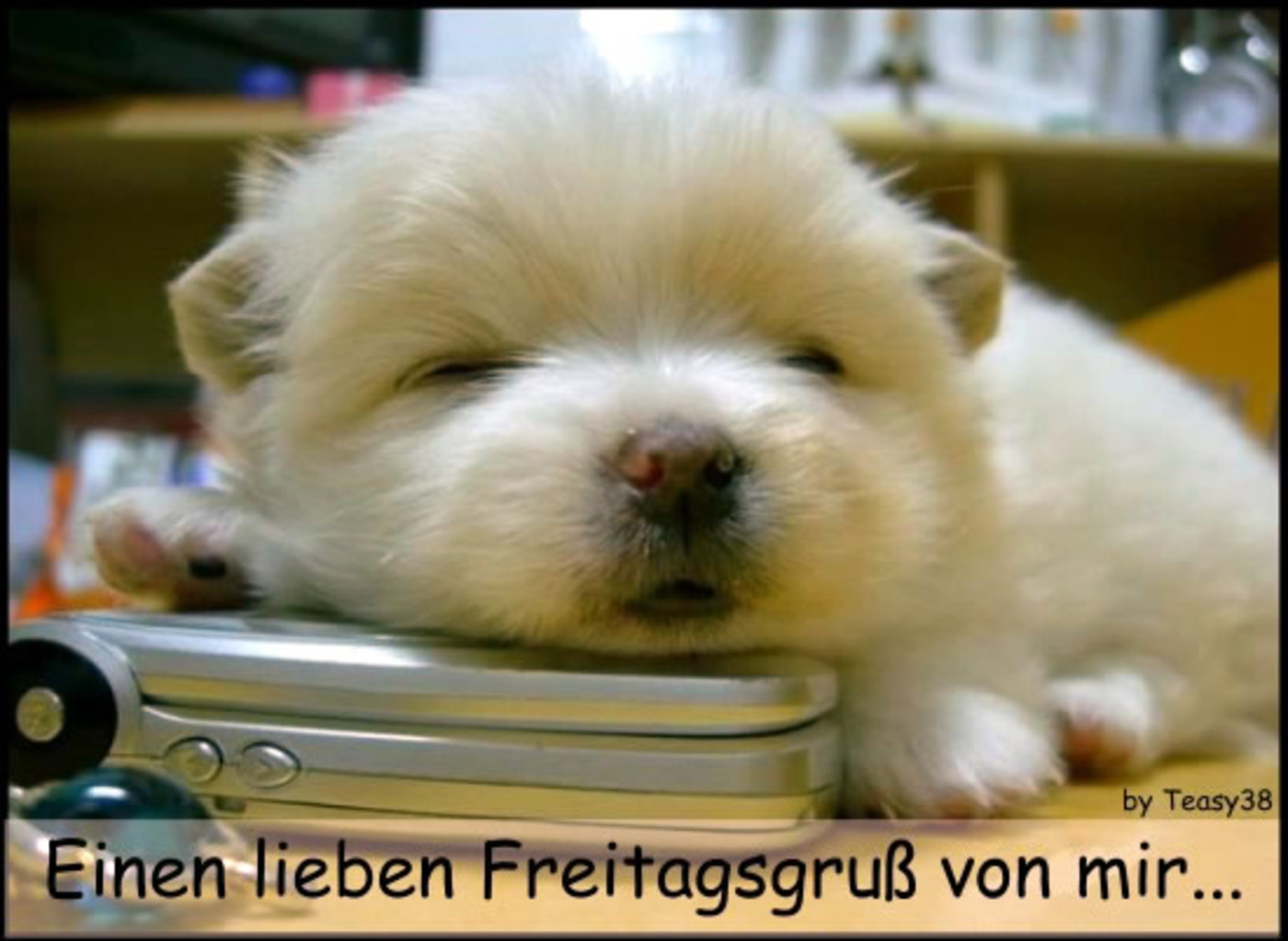 Schönen Freitag bilder für WhatsApp 227