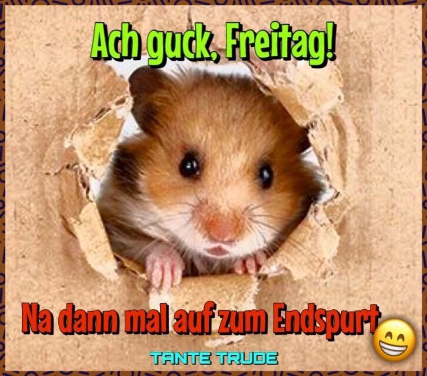 Schönen Freitag bilder kostenlos 34