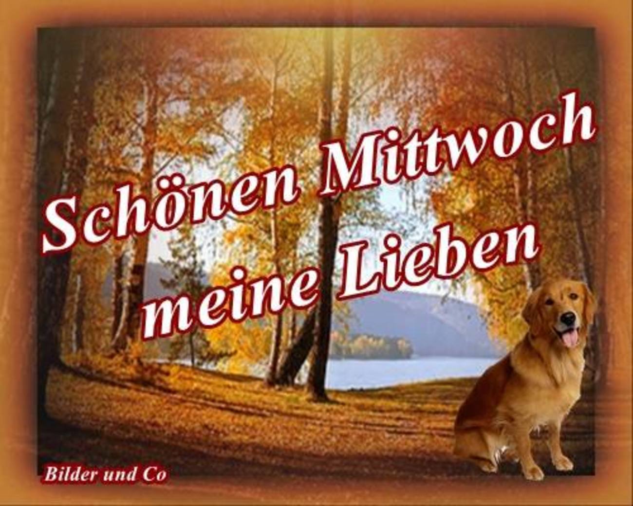 Schönen Mittwoch Guten Morgen 195