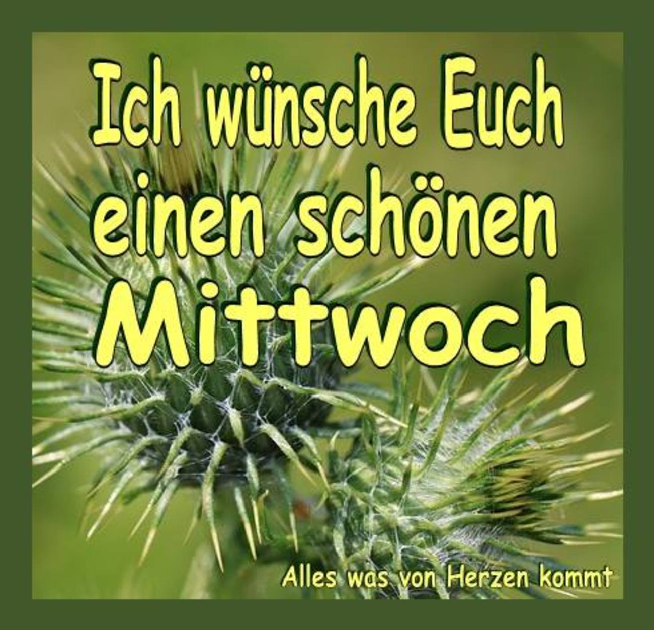 Mittwoch bilder guten schöne morgen guten morgen