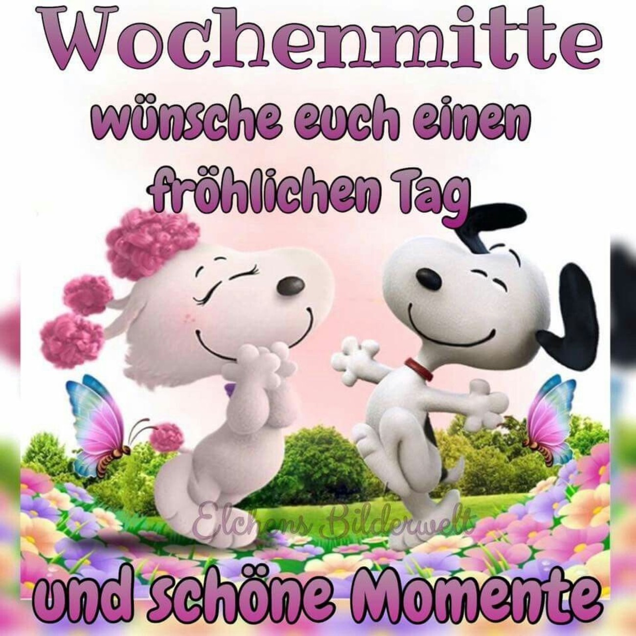 Schönen Mittwoch Snoopy 82