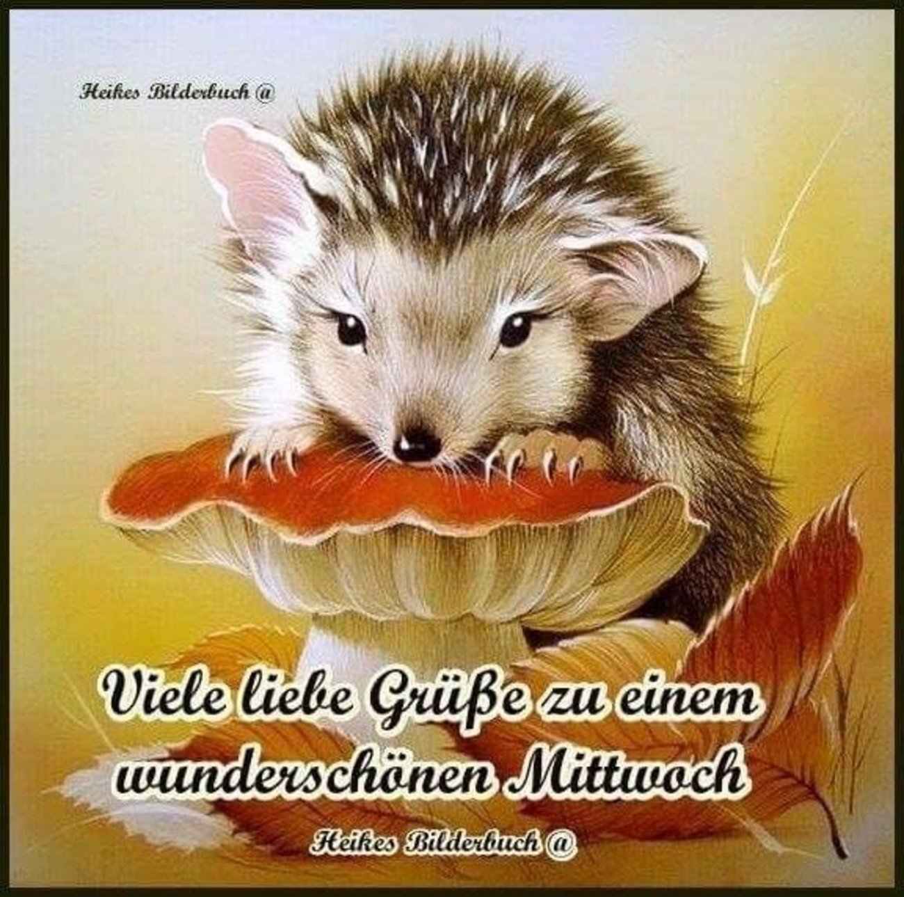 Schönen Mittwoch gb pics bilder