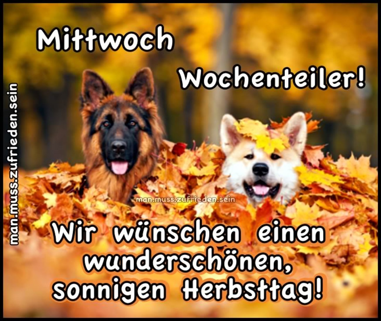 Schönen Mittwoch herbst 11