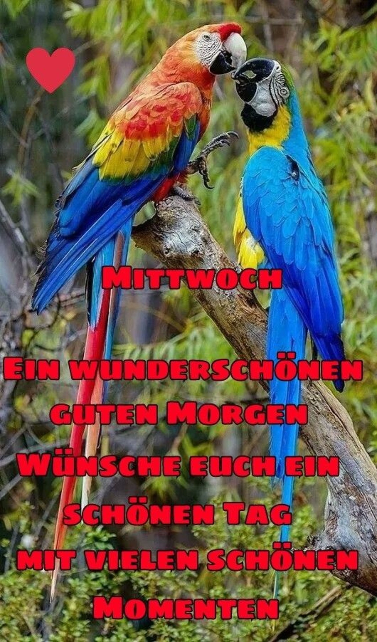 Schönen Mittwoch ihr lieben bilder und sprüche