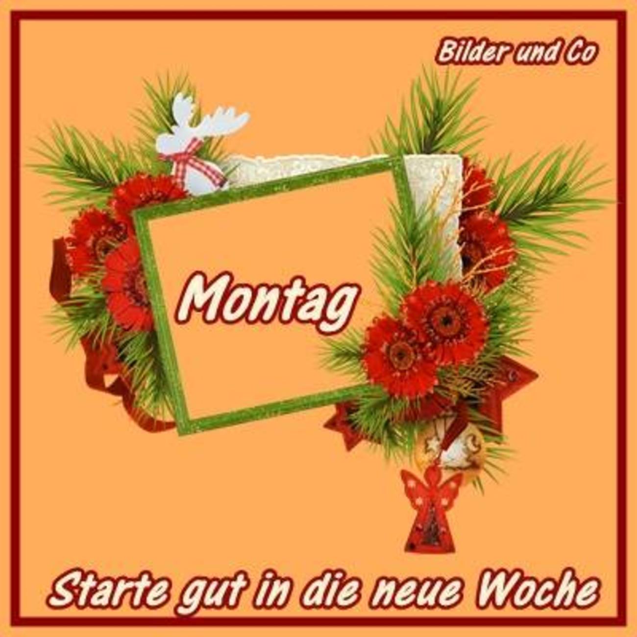 Schönen Montag 113