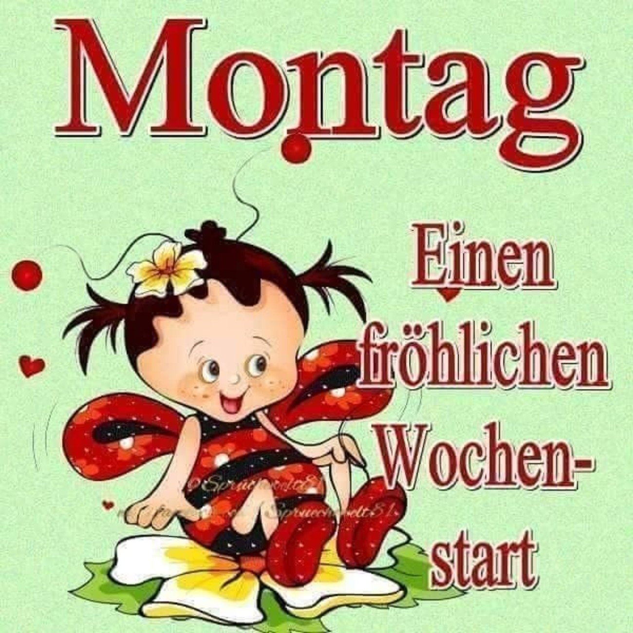 Schönen Montag 120