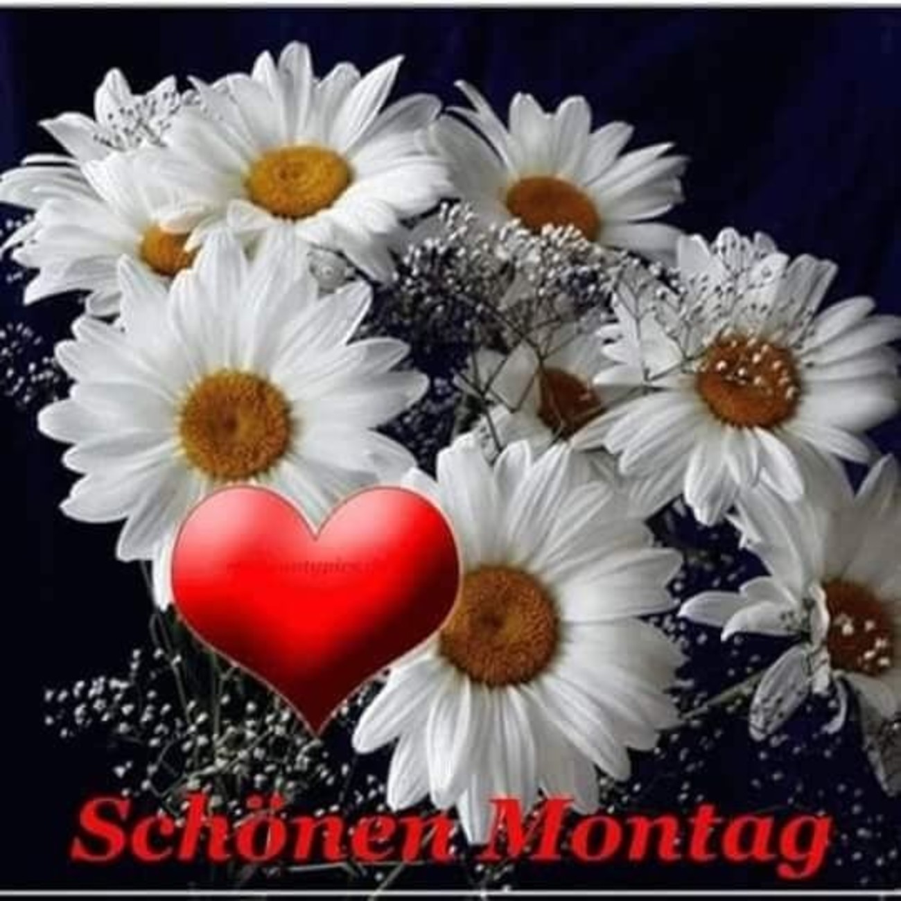 Schönen Montag 6