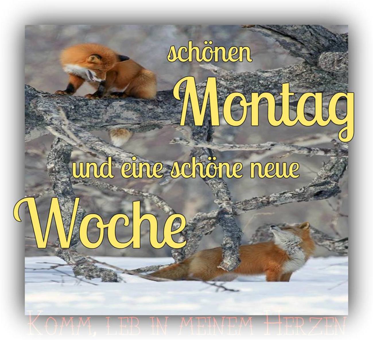 Schönen Montag bilder 127