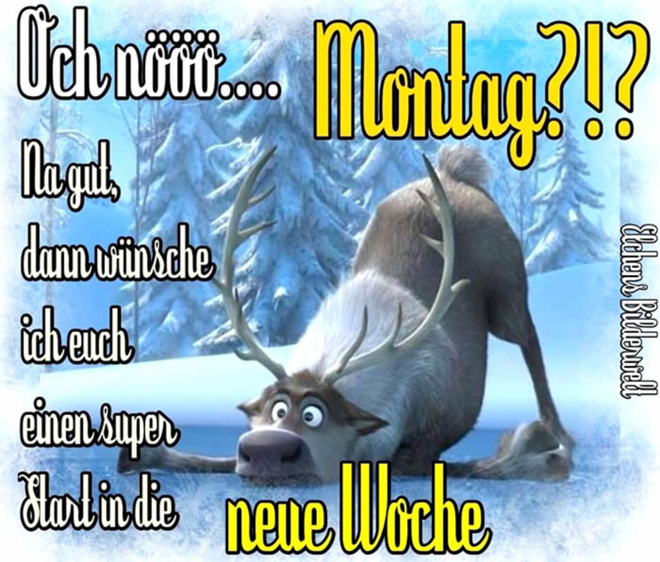 Schönen Montag bilder gratis 73