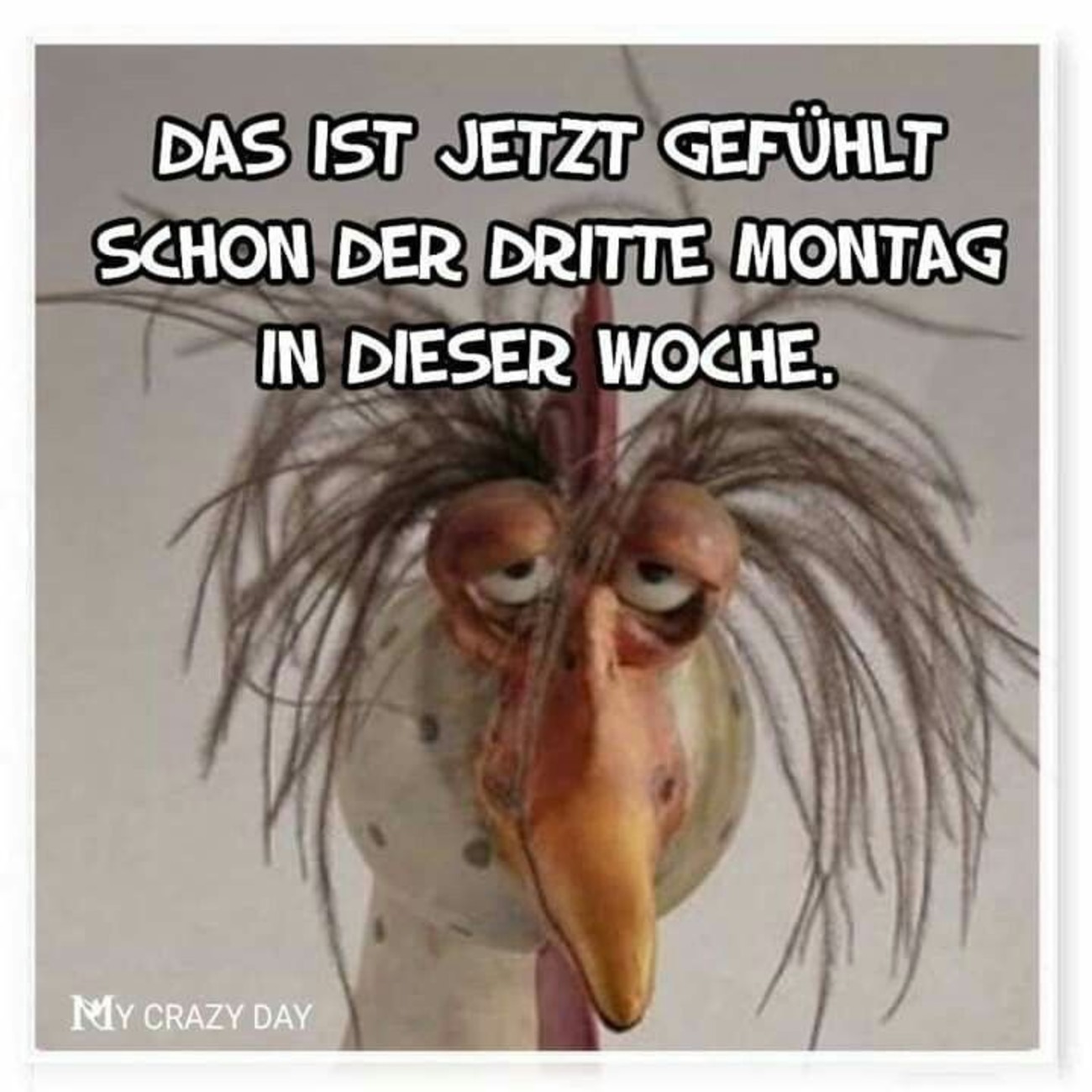 Schönen Montag bilder lustig 27