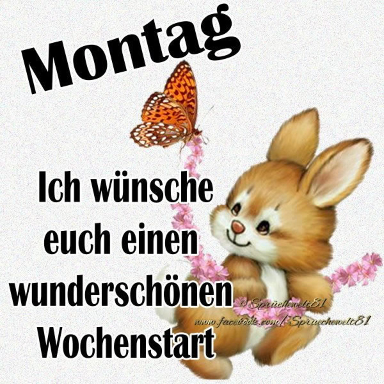 Schönen Montag bilder und sprüche 16