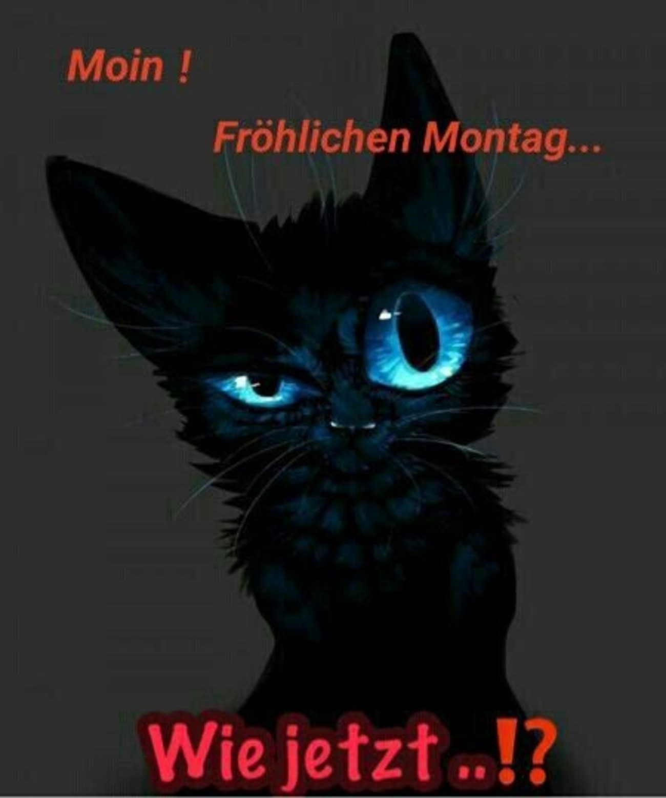 Schönen Montag bilder und sprüche 160