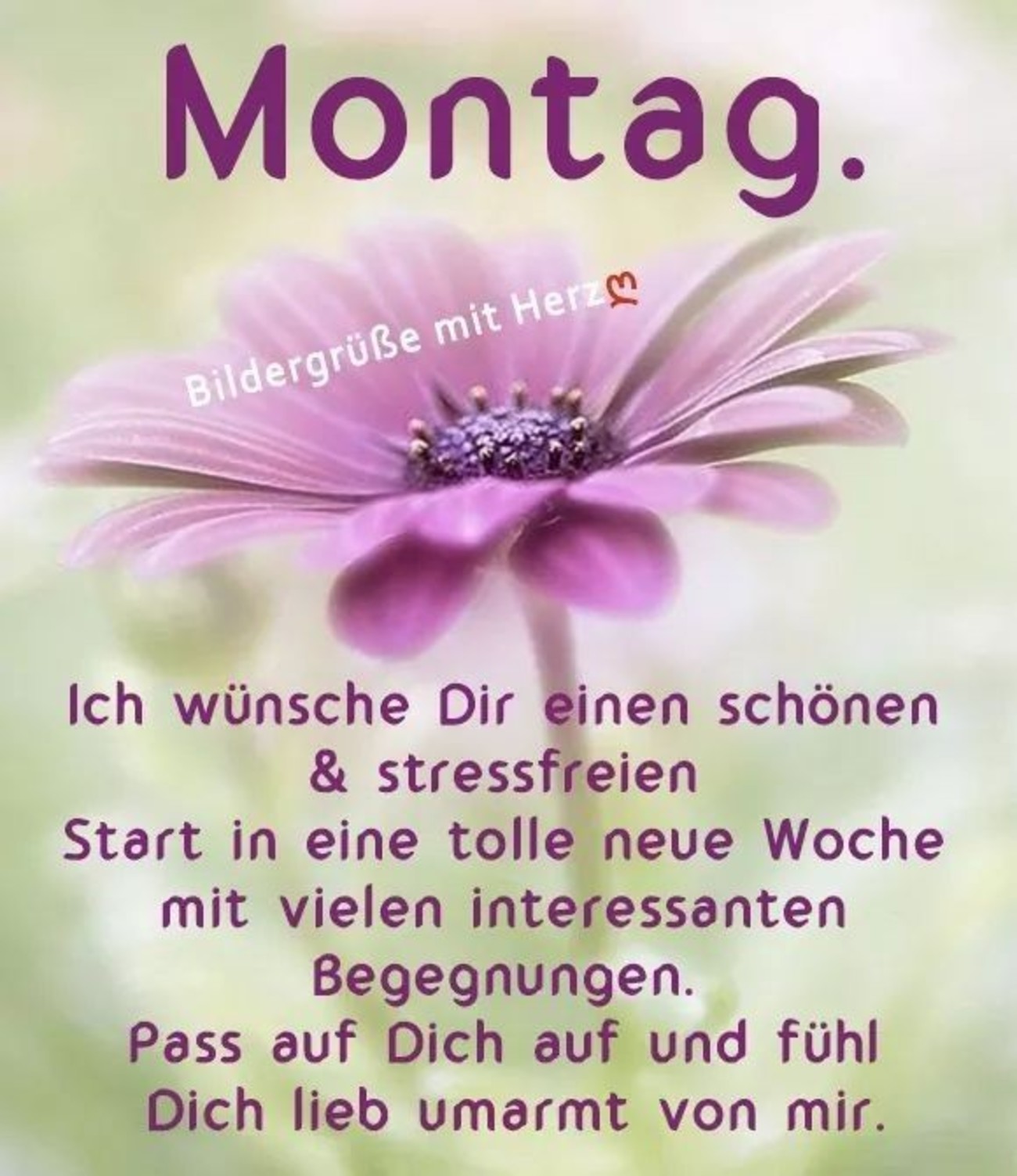 Montagsspaß Lustige Sprüche für einen heiteren Wochenstart