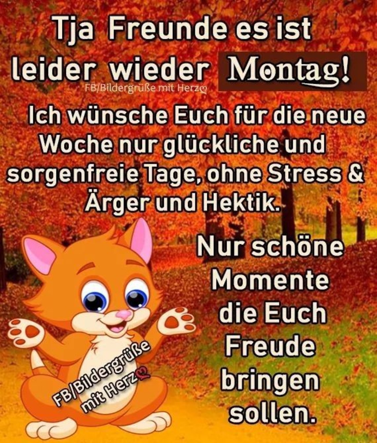 Schönen Montag herbst 167