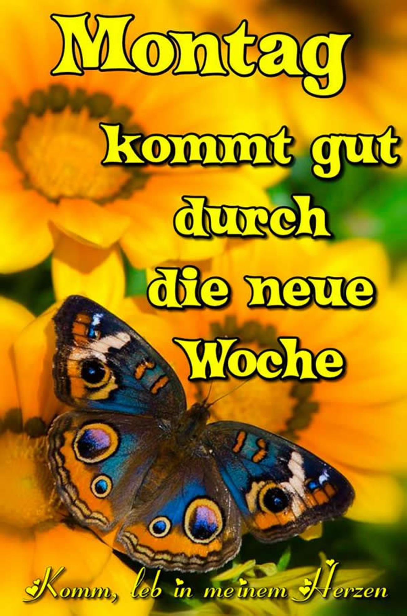 Schönen Montag morgen 49