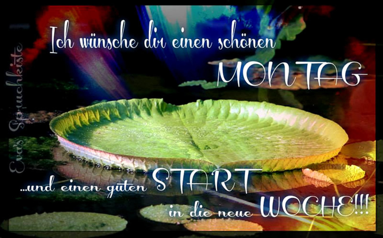 Schönen Montag und wochenstart 53