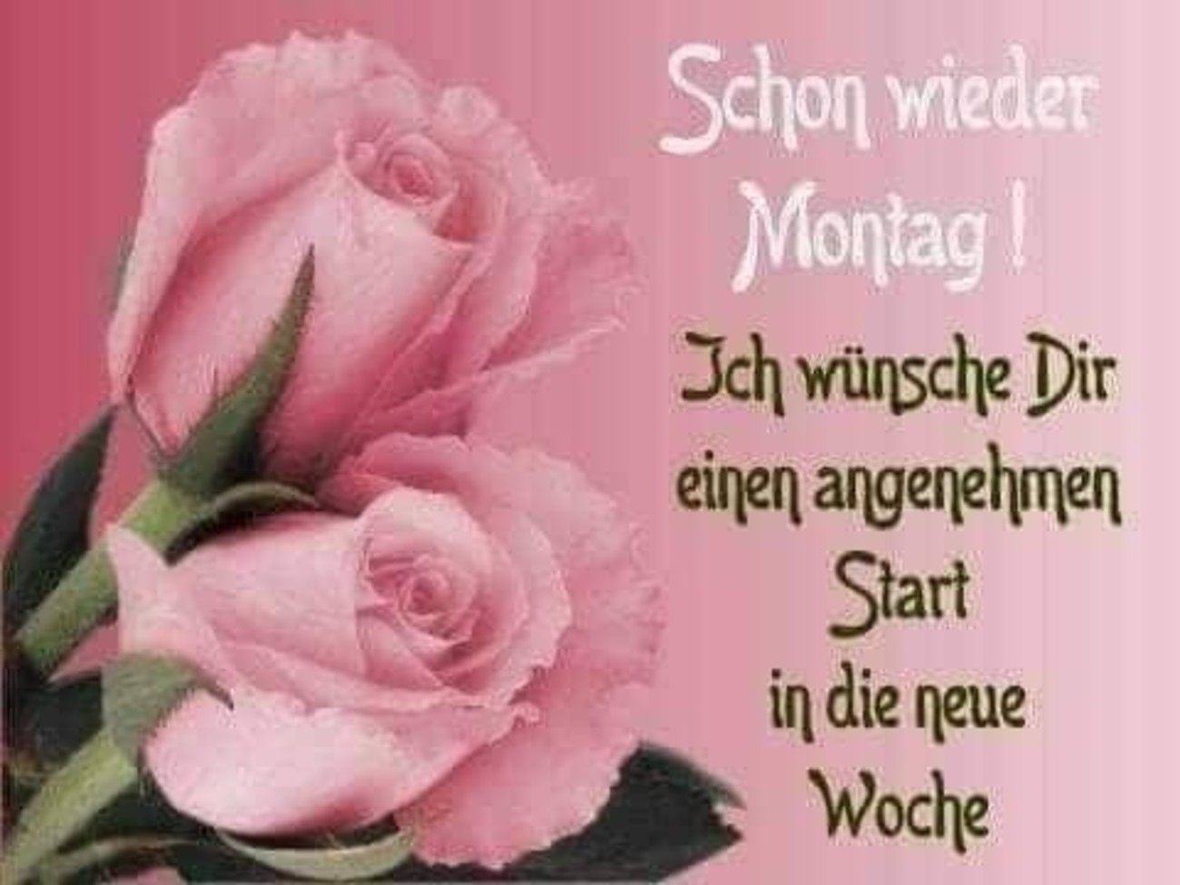 Schönen Montag und wochenstart 58