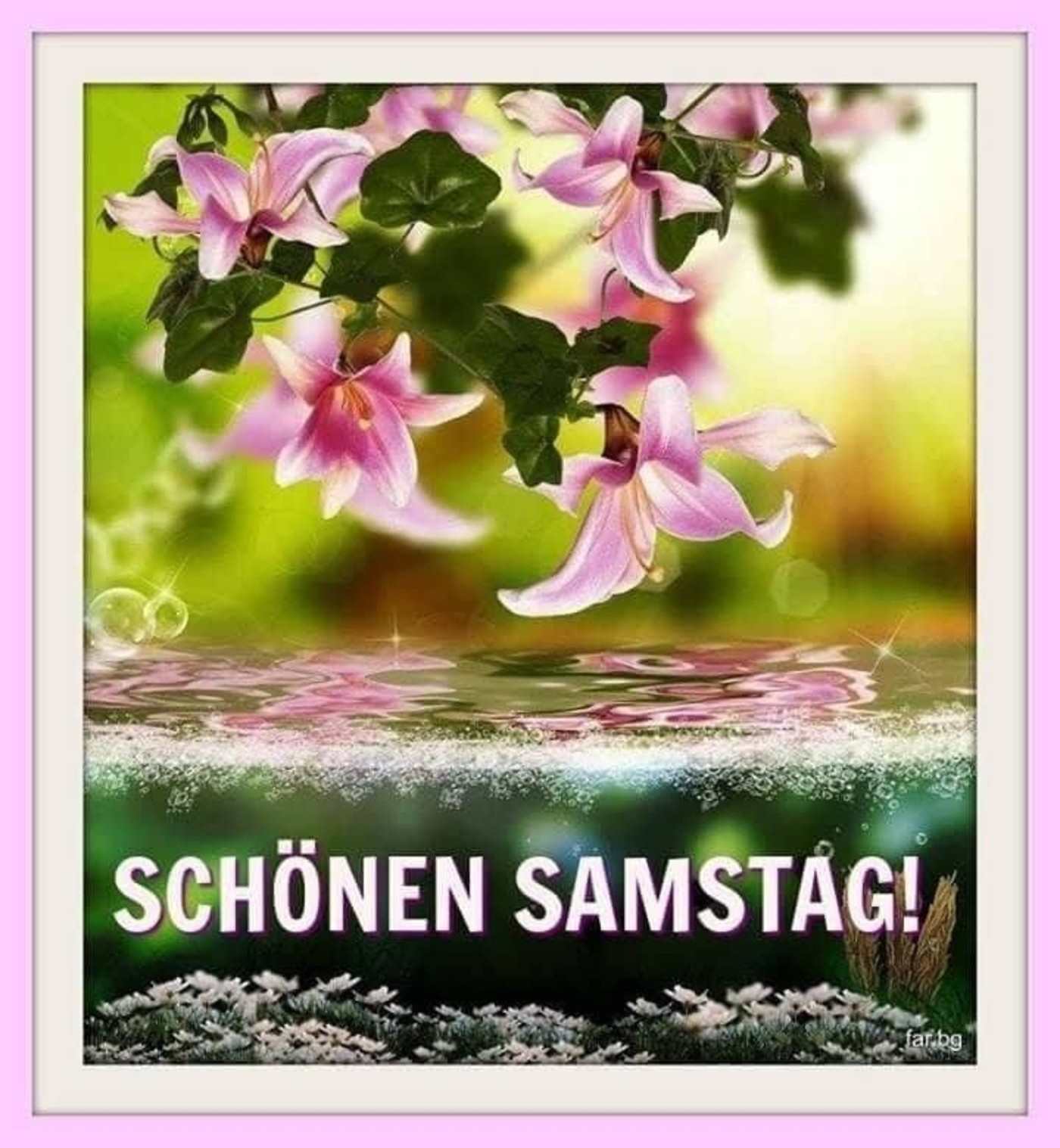 Schönen Samstag Frühling 4