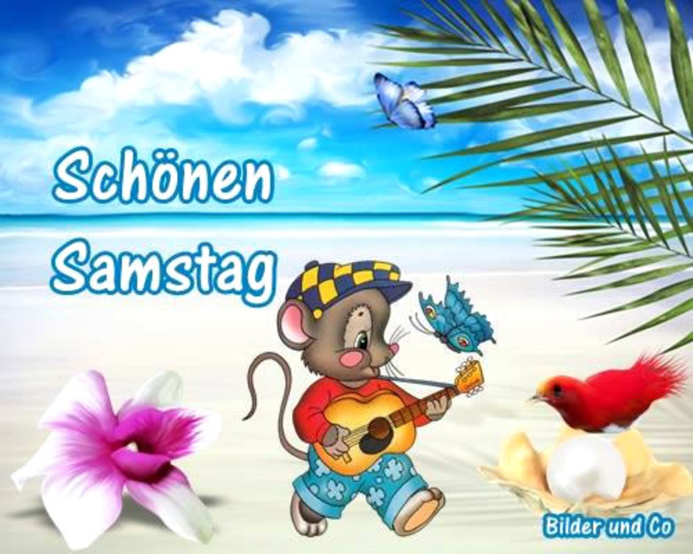 Schönen Samstag karten 187