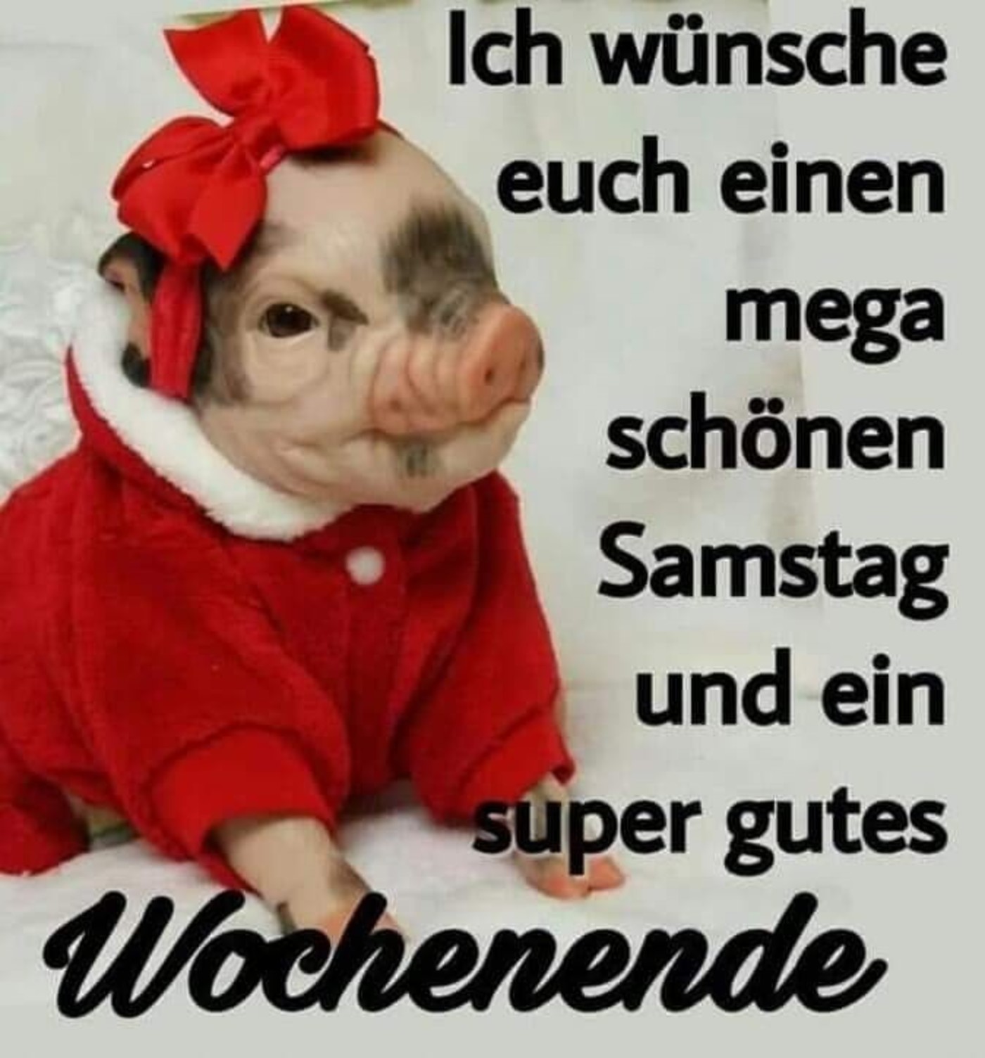 Kostenlose grüße zum wochenende