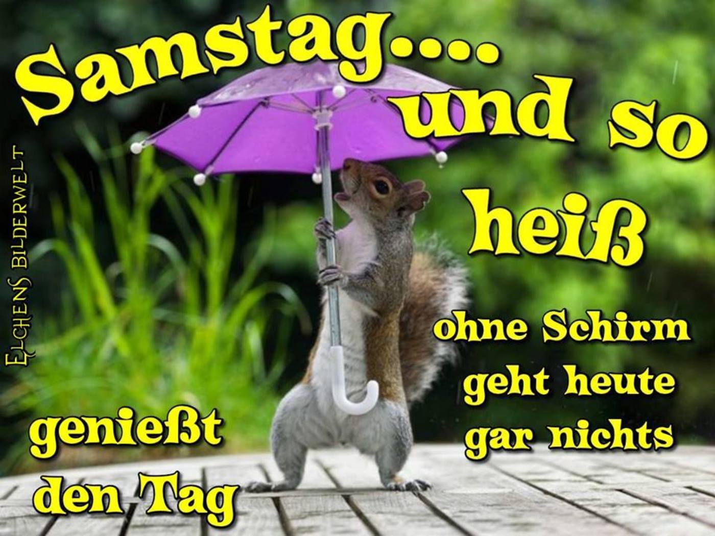 Schönen Samstag regen 254