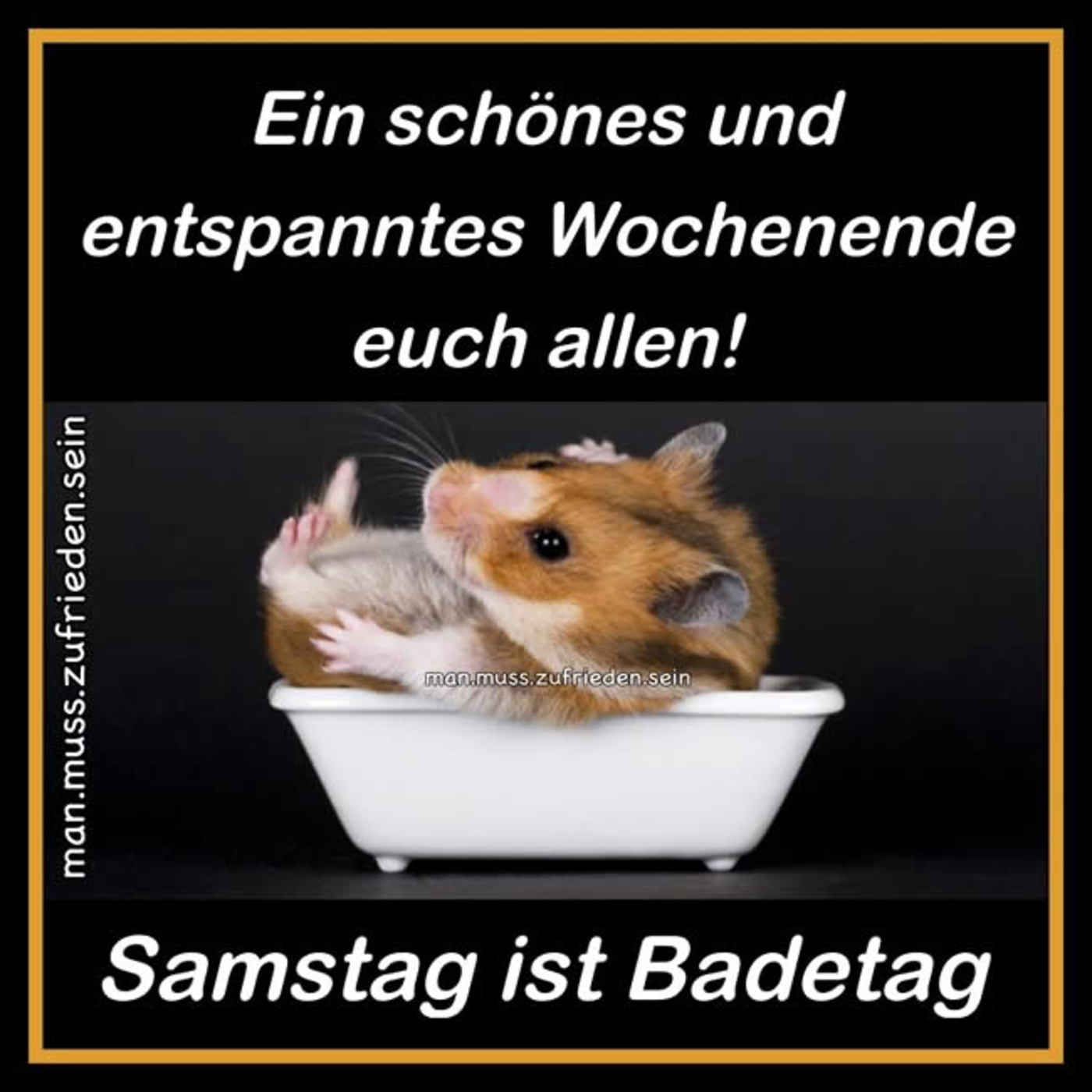 Schönen Samstag schönes wochenende 277