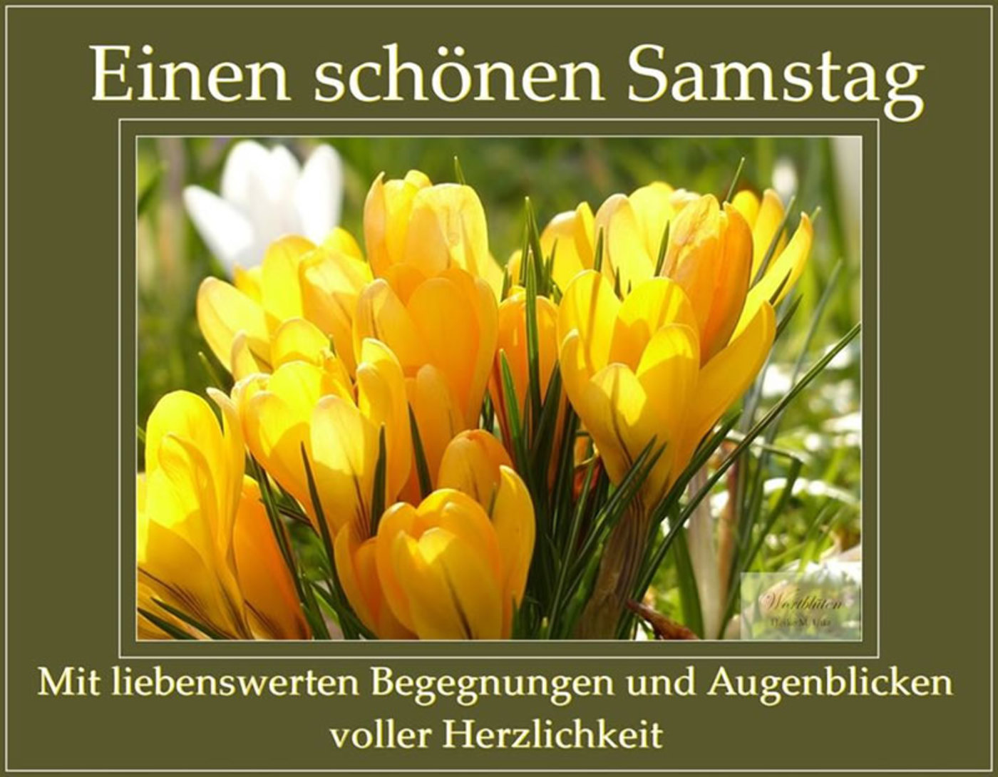 Schönen Samstag und ein tolles wochenende 33