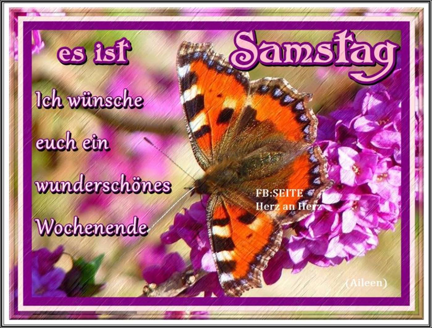 Schönen Samstag und schönes wochenende bilder 54