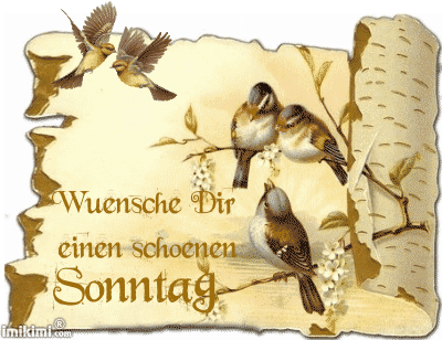 Schönen Sonntag GIF karten 294
