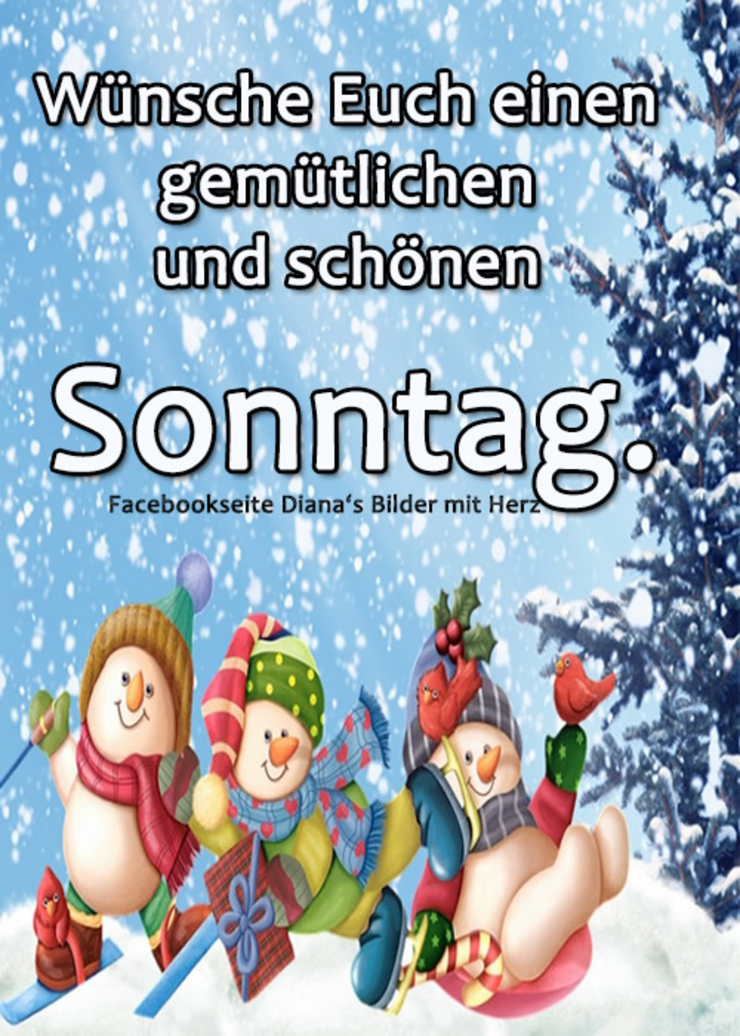 Schönen Sonntag Weihnachten bilder 271