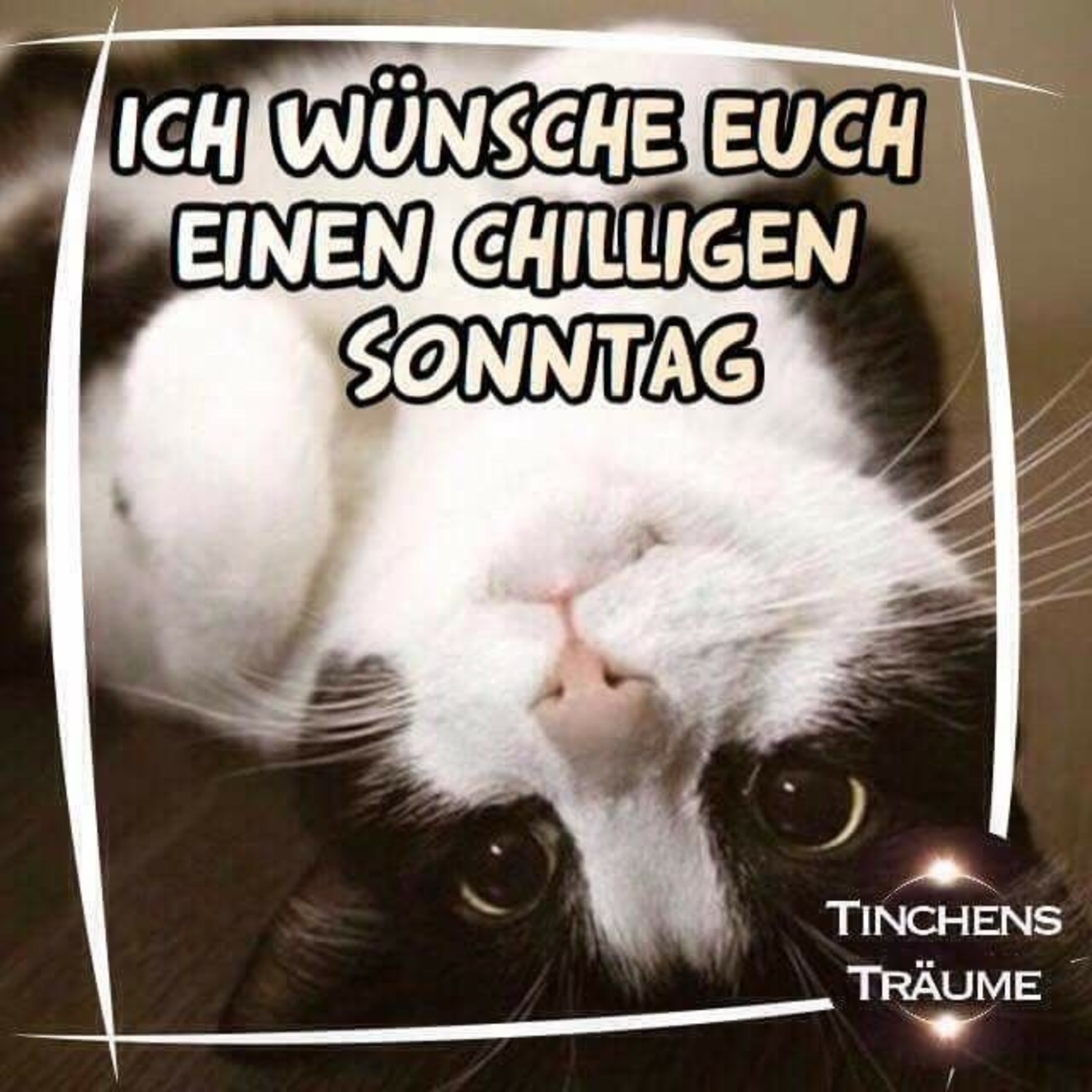 Schönen Sonntag bilder für Facebook 262